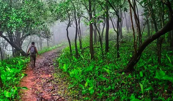 Thurahalli Forest